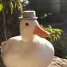Robert McGraw - @robertmcgraw2 - TikTok