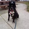 robertmcgraw744 - @robertmcgraw744 - TikTok