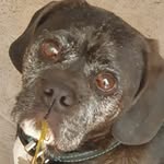 Robert McGregor - @robert.mcgregor.98284 - Instagram