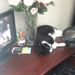 Robert McGregor - @robert.mcgregor.7737 - Instagram