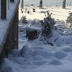 #bluelakelodge - @robertmchatton - Instagram