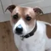 robertmcirvine - @robertmcirvine - TikTok