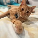 Roberta McKendree Thomas - @roberta591 - Instagram
