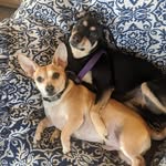 Robert McLaughlin - @robert.mclaughlin.9615 - Instagram