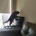 Robert McLean - Facebook