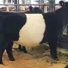 robertmclintock8 - @robertmclintock8 - TikTok