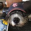 Robert McMurdo 🏴󠁧󠁢󠁳󠁣󠁴󠁿 - @robertmcmurdo - TikTok