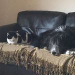 Robert McMurdo - @robertmcmurdo - Instagram