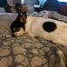 Robert McNabb - Facebook