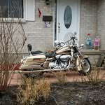 Judy McNicol Robert Milner - @mcnicolrobertmilner - Instagram