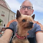 Robert Meier - @robert.mit.hund - Instagram
