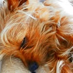Robert Meindlhumer - @robertmeindlhumer - Instagram