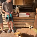 Robert Meisl - @coolemsis - Instagram