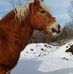 Robert Melick - Facebook