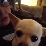 Robert Meredith - @robert.meredith.31508 - Instagram