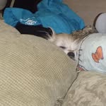 Robert Meredith - @robert.meredith.735944 - Instagram