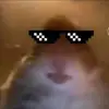 Robert - @robert_meredith - TikTok