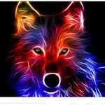 Robert Merola - @robert_merola - Instagram