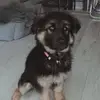 robertmersseman - @robertmersseman - TikTok