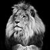 Robert Meserve - Facebook