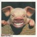 Robert Mesko - Facebook
