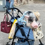Robert Meško - @robertmesko - Instagram