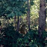 Robert Messing - @messingrob1 - Instagram