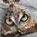 Robert Messinger - Facebook