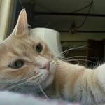 Robert Messinger - @hupkadoo - Instagram