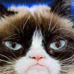 Robert Mikolajczyk - @jeff500900 - Instagram