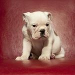 Robert Mikulski - @mikulski.robert - Instagram