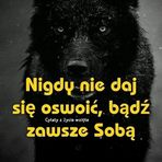 Robert Milczarek - Facebook