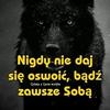 robertmilczarek21 - @robertmilczarek21 - TikTok