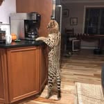 Robert Miles - @robertmiles5580 - Instagram