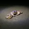robertmileage - @robertmileage - TikTok