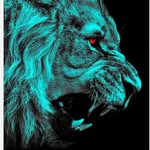 Robert Miller - @robertmiller5281 - Instagram