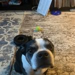 Robert Milot - @robertmilot23 - Instagram