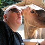 Robert Milot - @milrob53 - Instagram