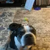 robertmilot355 - @robertmilot355 - TikTok