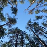 Robert Milson - @robert.milson.125 - Instagram
