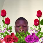 Sagbo Mink's Robert - Facebook