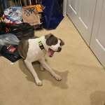 Robert Minnich - @robert.minnich.5 - Instagram