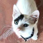 Roberto Miraglia - @roberto.miraglia.790 - Instagram