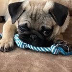 Robert Mittleman - @robertmittleman - Instagram