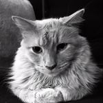 Robert Molyneaux ☮️ - @jrmoly - Instagram