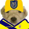 rober - @robertomoncayo10 - TikTok