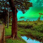 Jusca - @robertmoncayo91 - Instagram