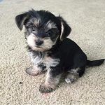 robert - @robertmonzo99 - Instagram