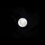Robert Moon - @robert_moon003 - Instagram