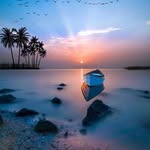 robert morano - @robey2019 - Instagram